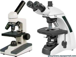 Microscope électronique